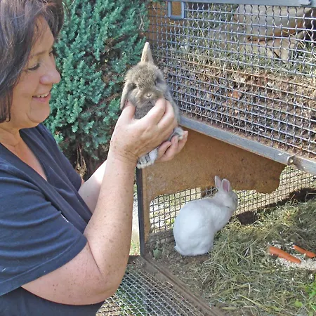 Ribolla Διαμέρισμα Gravedona